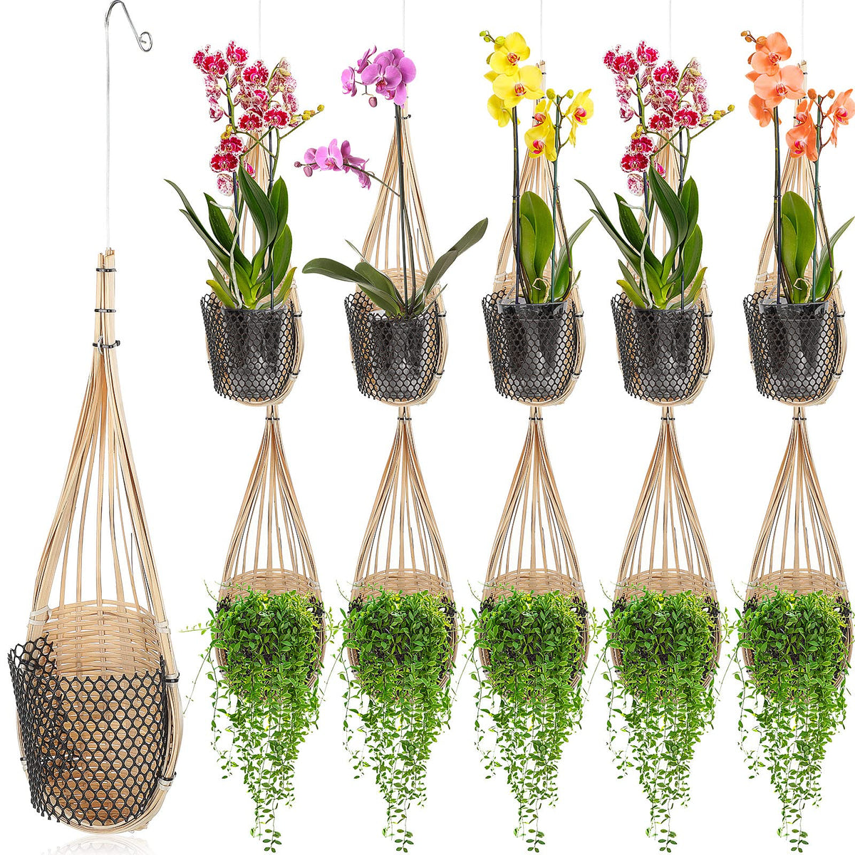 Weysat bird nest style orchid basket, lightweight and easy to hang.