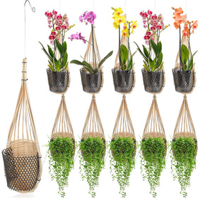Weysat bird nest style orchid basket, lightweight and easy to hang.