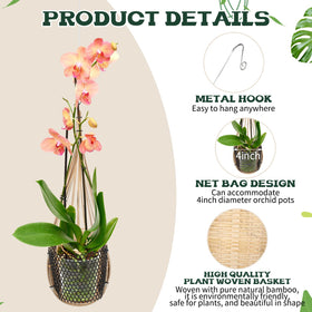 Weysat indoor-outdoor garden basket for vines and florals.