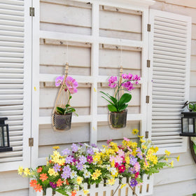 Weysat orchid planter with metal hook, quick hanging on trellises.