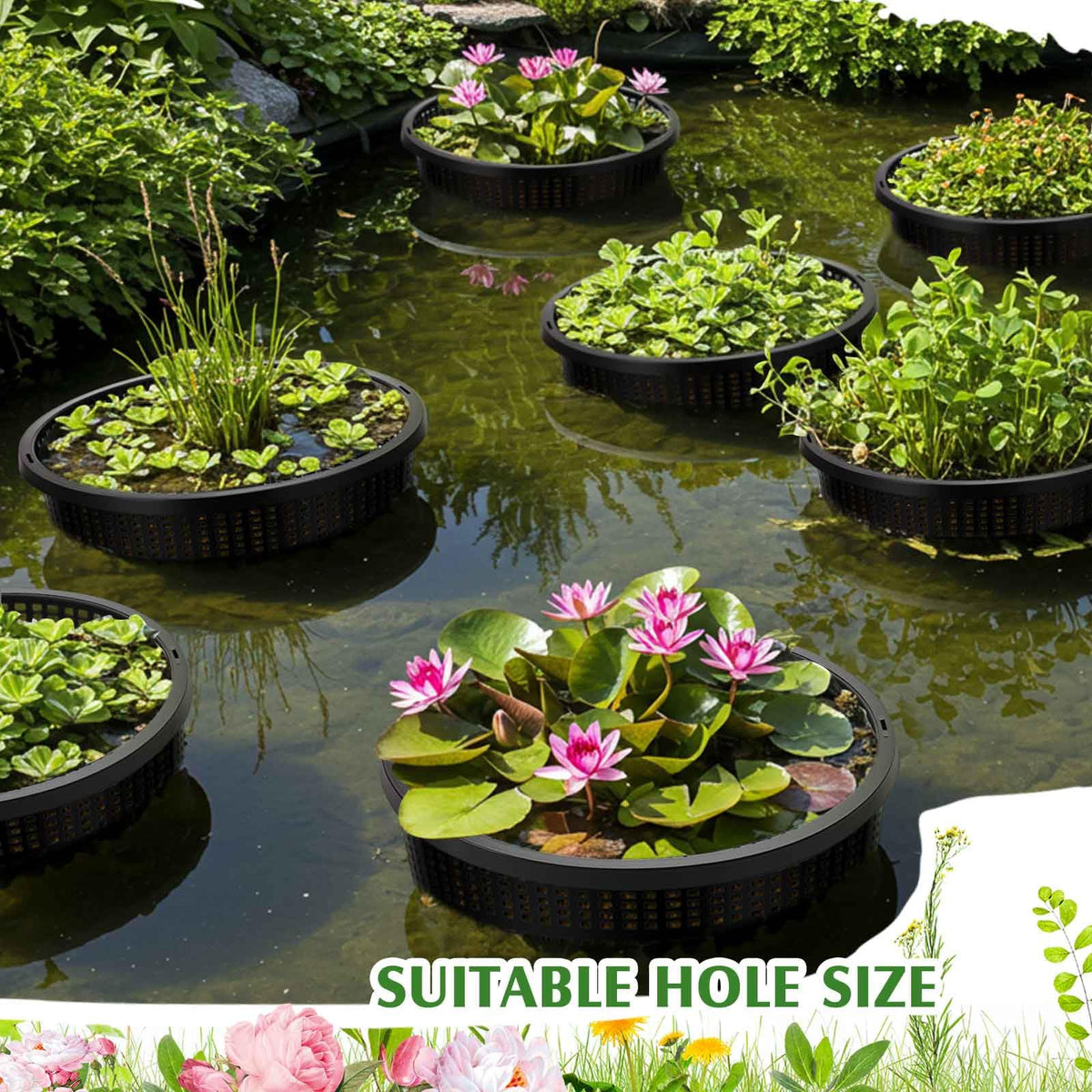 Weysat hydroponic baskets promote healthy development through enhanced water flow.
