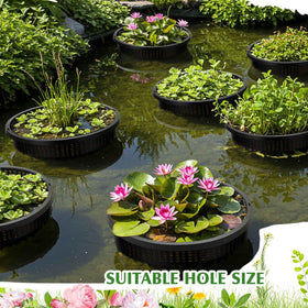 Weysat hydroponic baskets promote healthy development through enhanced water flow.