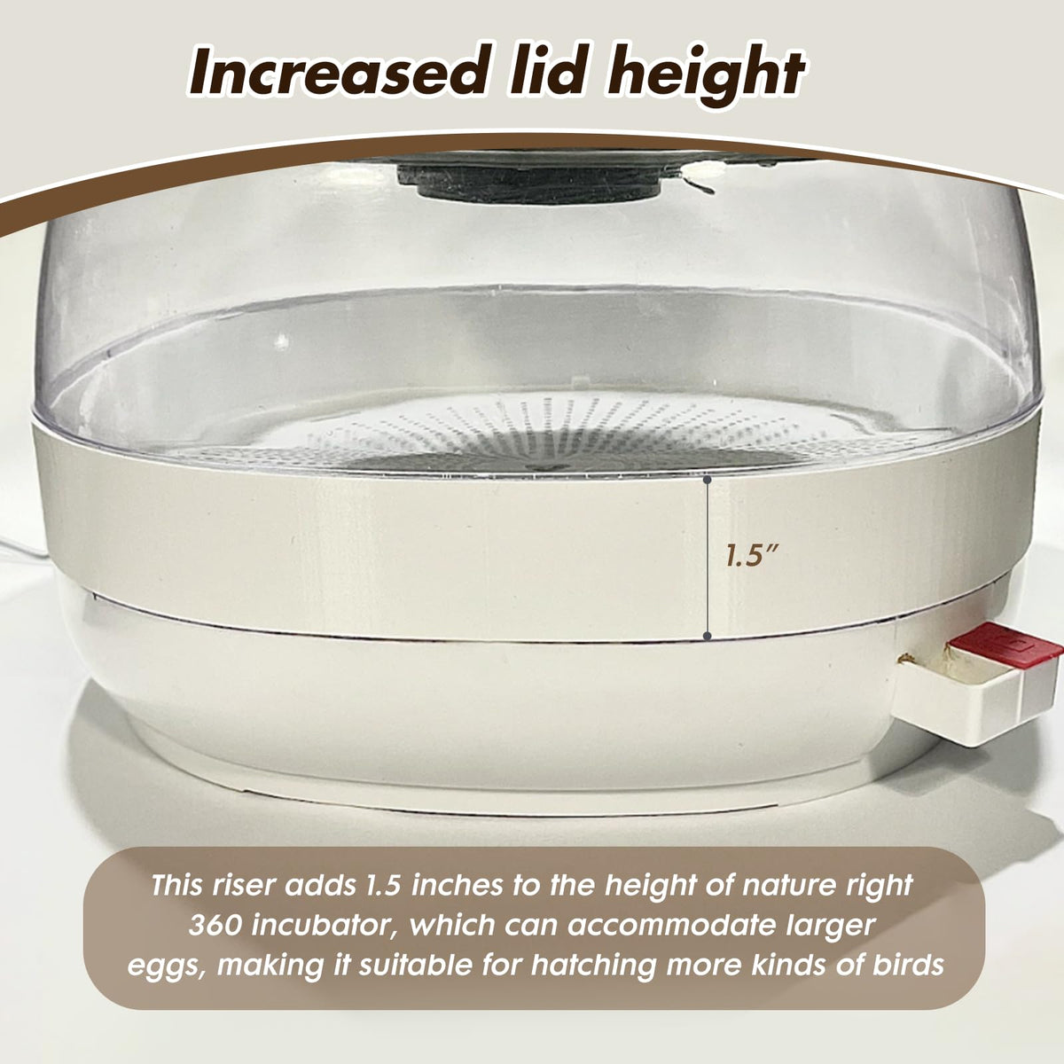 WFXSHparts durable lifting plate provides stable support during incubation