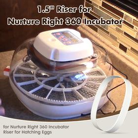 WFXSHparts riser enables larger eggs from ducks, turkeys, and geese to incubate comfortably
