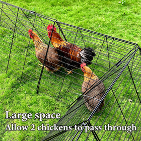 WGOHOSE chicken tractor in action for outdoor exercise and movement.