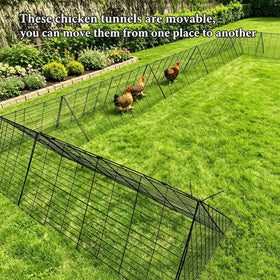 WGOHOSE garden-protection enclosure keeps plants safe from roaming poultry.