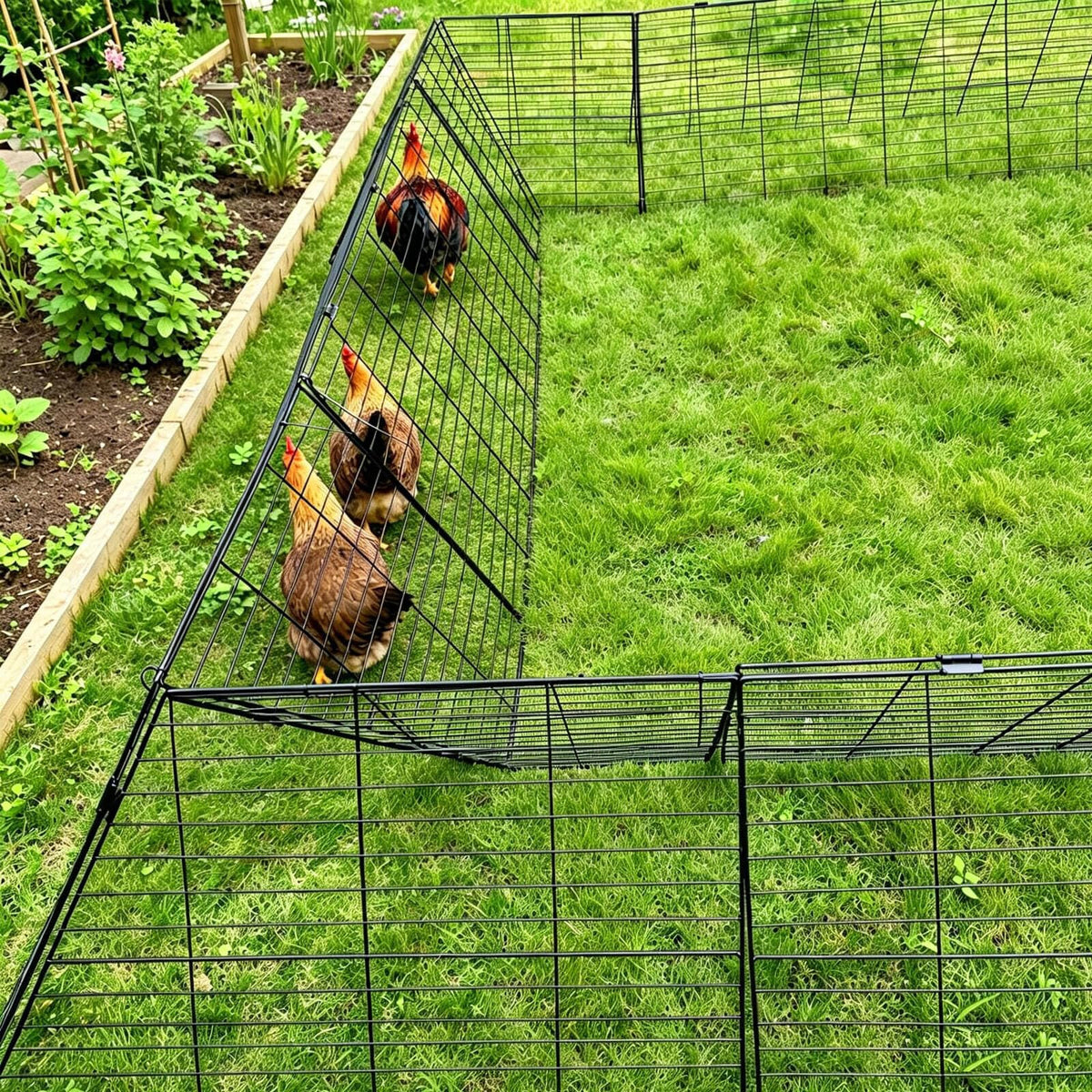 WGOHOSE heavy-duty chicken tunnel assembly for quick backyard setup.