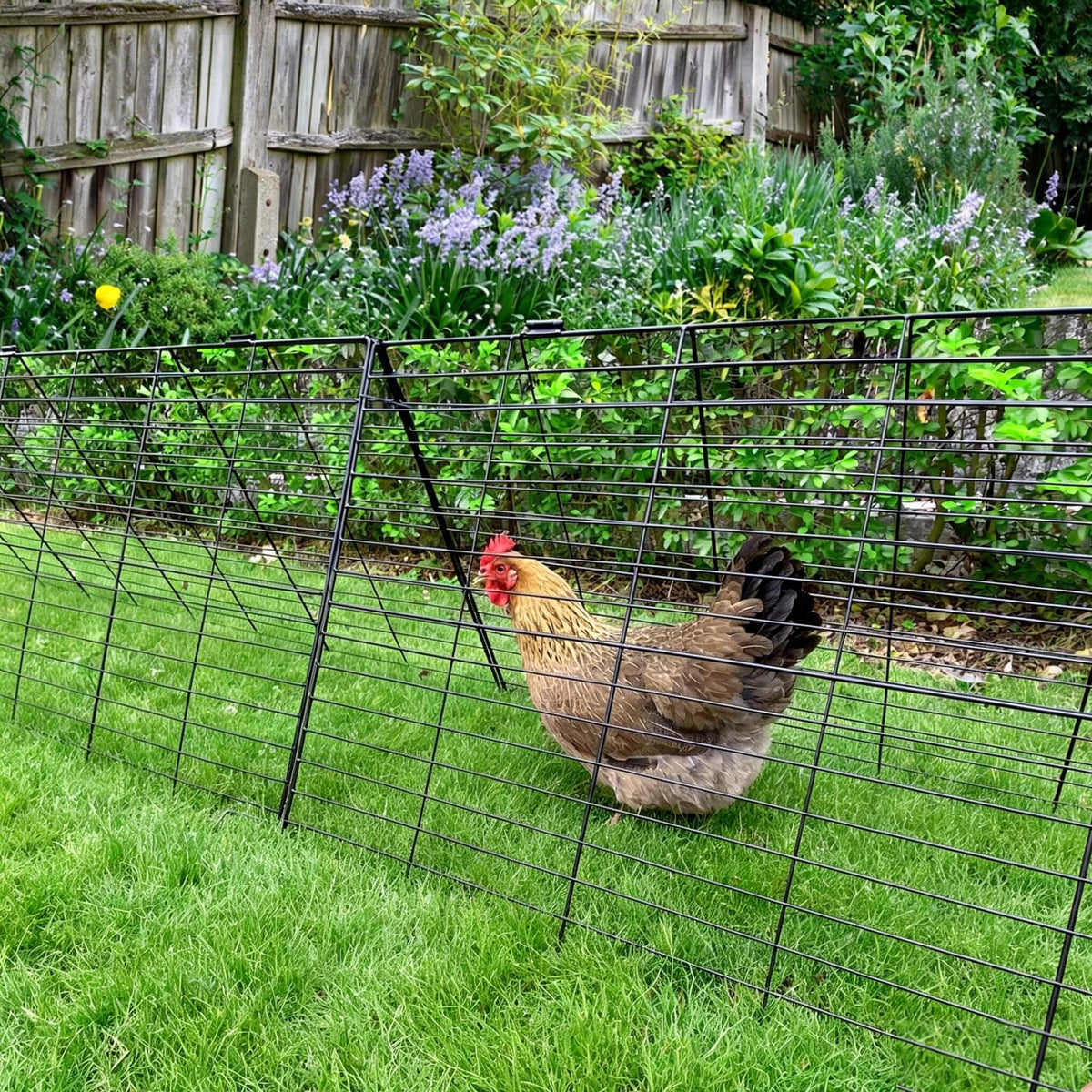 WGOHOSE portable yard poultry tunnel suits chickens, rabbits, and ducks.