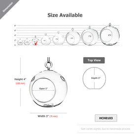 WGVI hanging terrarium globe with side holes for easy watering and care