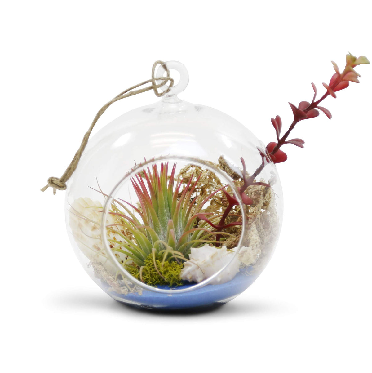 WGVI terrarium used as a candle holder to create ambient lighting.