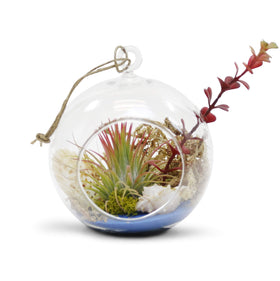 WGVI terrarium used as a candle holder to create ambient lighting.