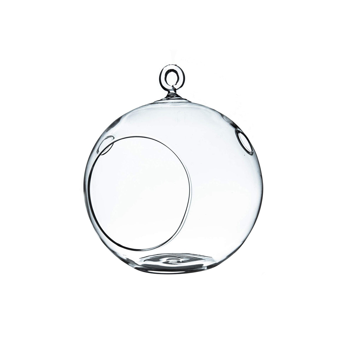 WGVI hanging terrarium globe with clear glass and flat bottom for stable display.