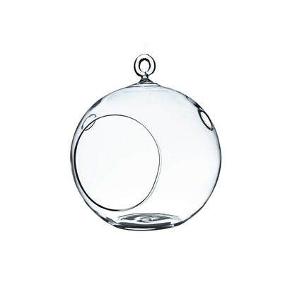 WGVI hanging terrarium globe with clear glass and flat bottom for stable display.