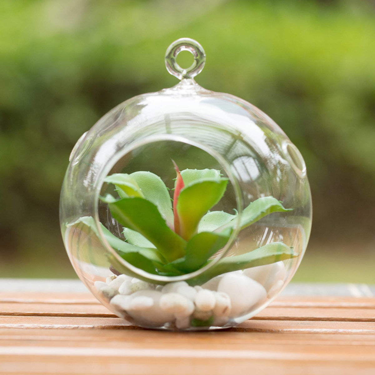 WGVI mini garden globe perfect for DIY decorations or gift-worthy centerpieces.