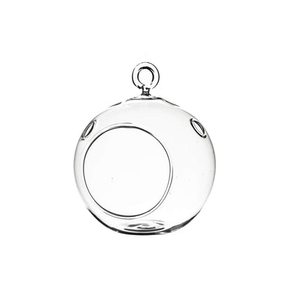 WGVI hanging terrarium globe for succulents and air plants on bright windowsills