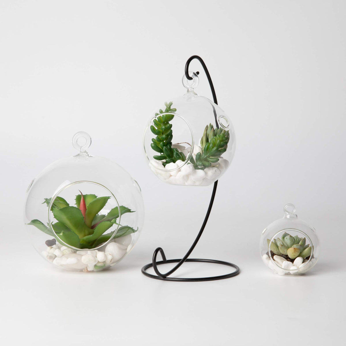 WGVI hanging terrarium globe enhances windowsill decor with natural greenery
