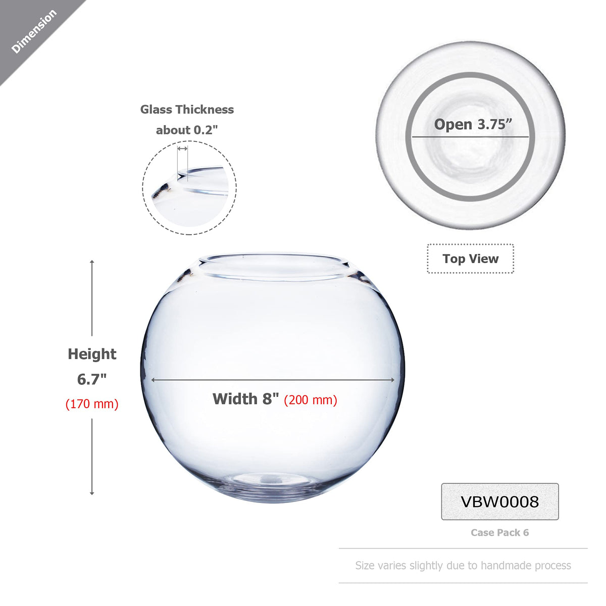 WGVI WGV bubble glass terrarium open top for easy plant setups.