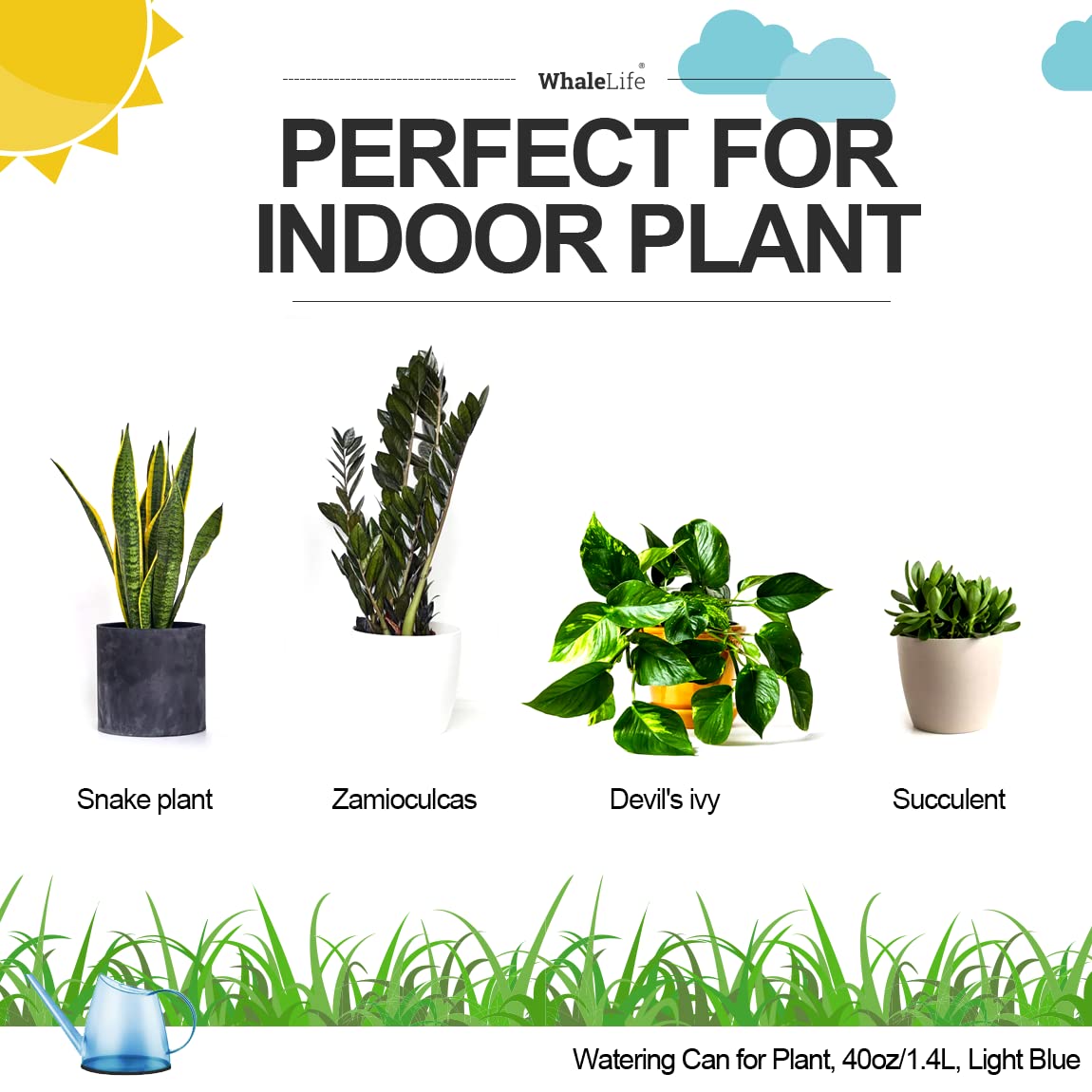 WhaleLife bonsai care tool suitable for small indoor plants.