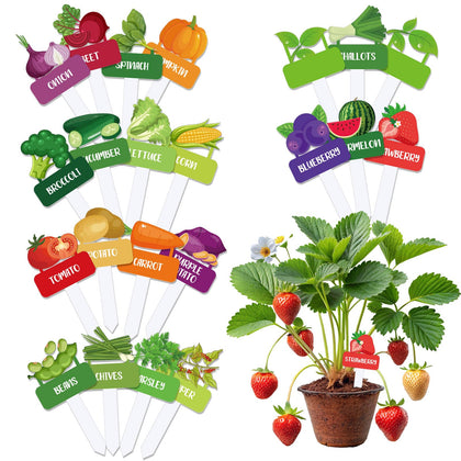 Whaline 22Pcs acrylic vegetable labels featuring 22 designs for easy plant identification.