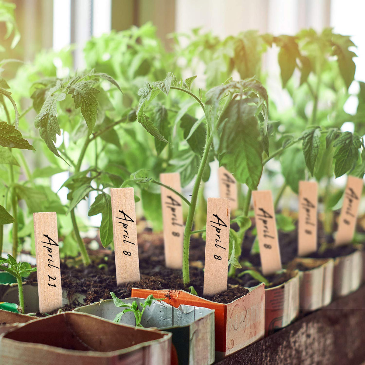Whaline DIY garden labels kit for creative projects