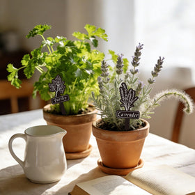 Whaline herb signs improve garden aesthetics while keeping plants labeled.