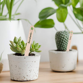 Whaline garden markers for seed, flower, and vegetable labeling in pots and beds.