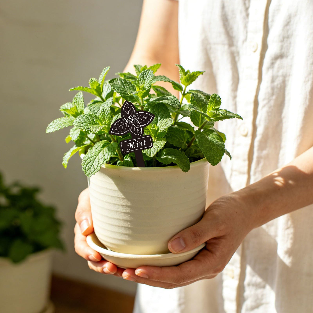 Whaline markers suit indoor, outdoor, and greenhouse setups with ease.