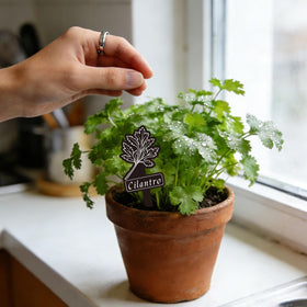 Whaline signs feature a blank back for personal wishes or notes.