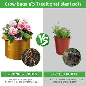 WHATWEARS reusable grow bags support multiple seasons and simple, compact storage when not in use.