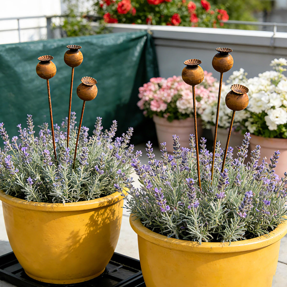 WHBIMGOOO metal flowers outside garden-edge stake adds rustic charm.