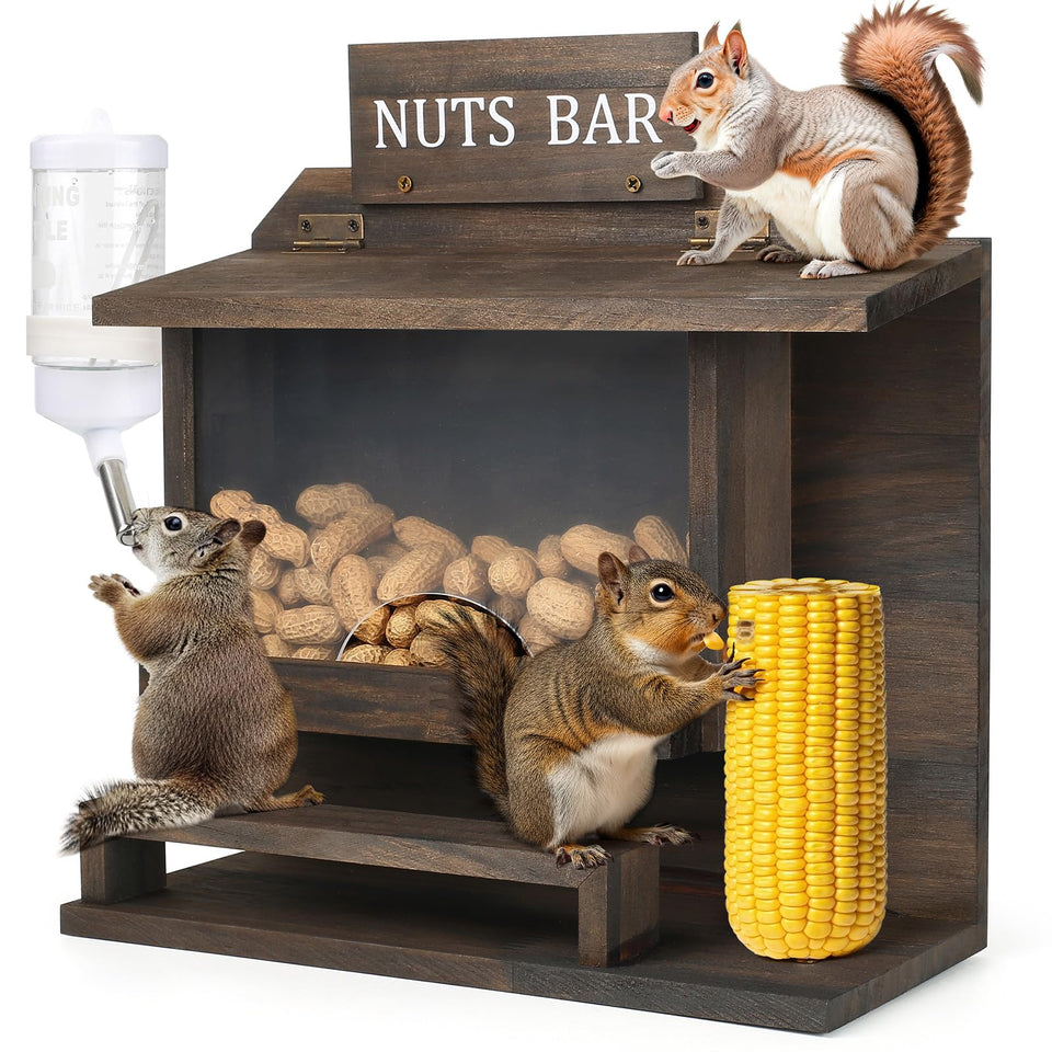 WHEARTED outdoor large squirrel feeder inviting wildlife to snack safely