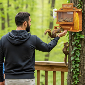 WHEARTED squirrel feeder with 80ml water bottle provides hydration during visits.