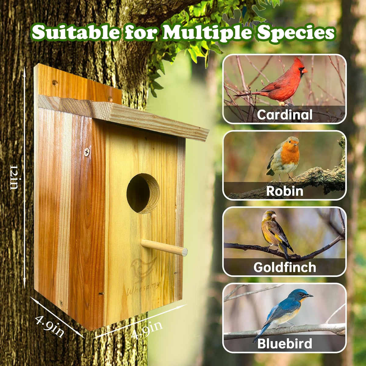 Whesamy Bluebird Housing round entrance promotes airflow and predator protection.