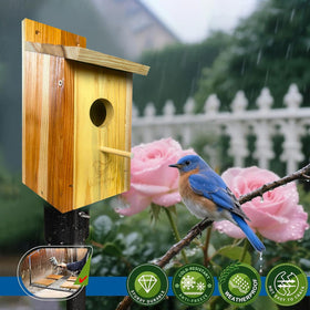 Whesamy Cedar Bird House assembly with screw makes DIY setup simple.
