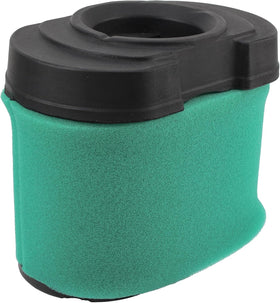 Briggs & Stratton Extended Life filter options for engines