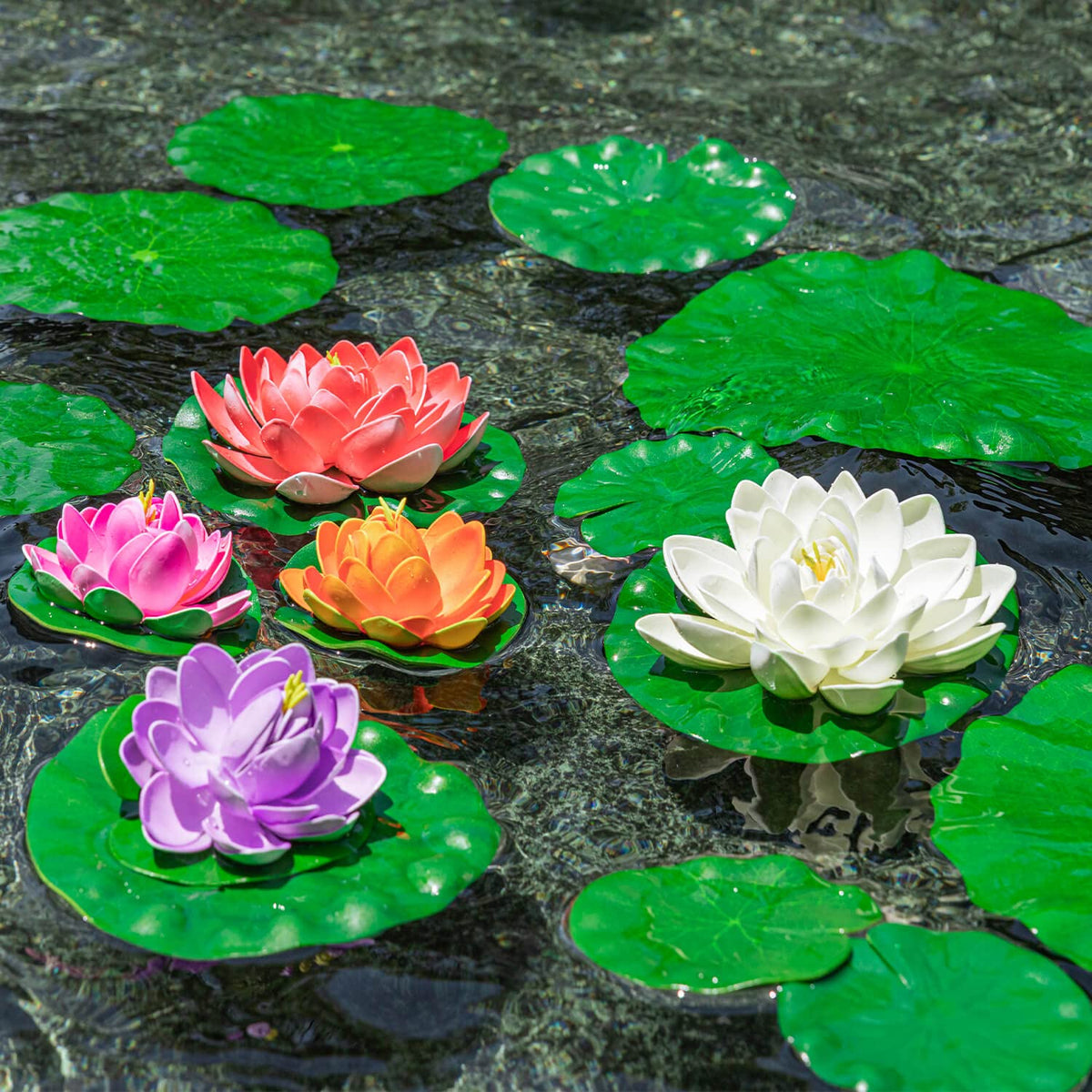 WhistenFla pond lily pad closeup leaf highlights realistic foam texture.
