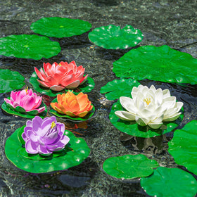 WhistenFla pond lily pad closeup leaf highlights realistic foam texture.