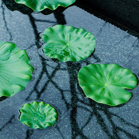 WhistenFla lily pad 11in leaf provides bold accents for large ponds.