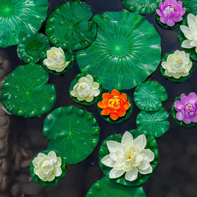 WhistenFla lily pads pond decor setup shows easy arrangement.