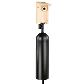 WHITEHORSE bird house on a pole with an 8-inch baffle for predator protection