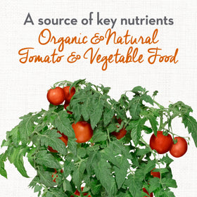 Whitney Farms Organic Tomato Food granules on soil promoting even coverage.