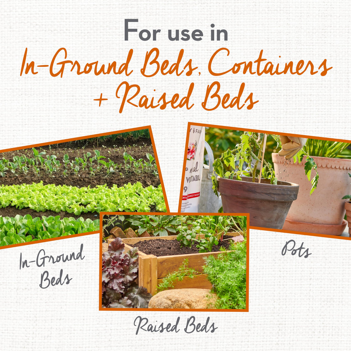 Whitney Farms Tomato Food granules around a container garden plants.