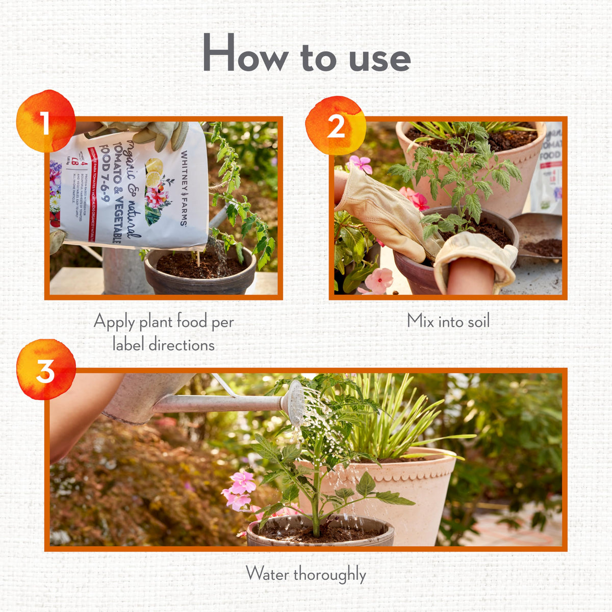 Whitney Farms Tomato Food granules near roots for steady nourishment.
