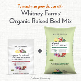 Whitney Farms Tomato & Vegetable Food soil-ready before watering.