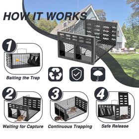 WHJIACHU black design emphasizes discreet, durable pest control.