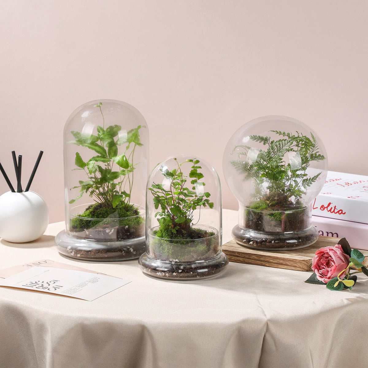 WHJY glass cloche on windowsill creates a striking natural focal point.
