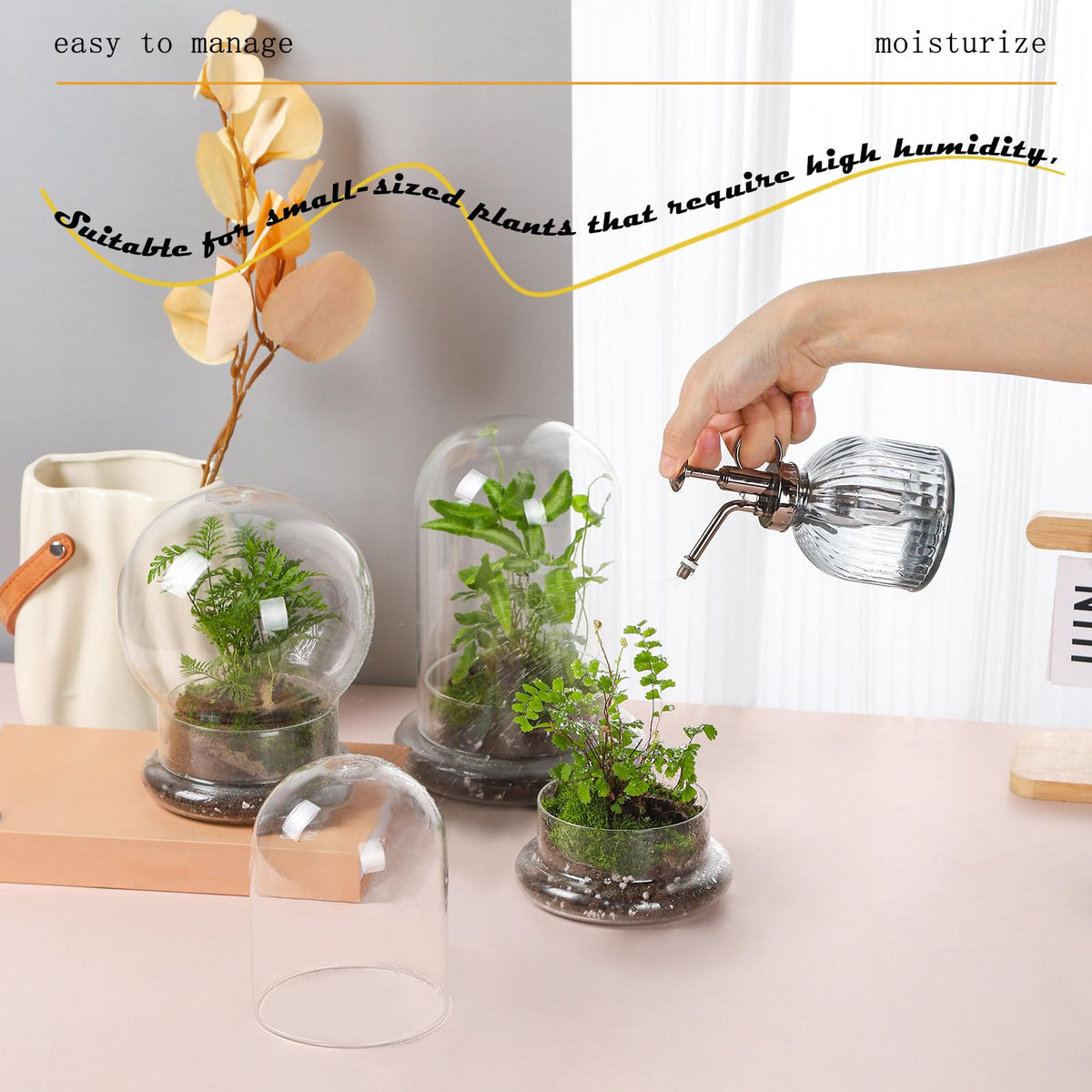 WHJY cloche and base ideal for mosses and other humidity-loving plants.