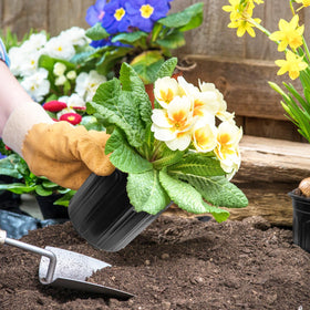 Whkvnng home garden pot set, versatile for herbs and small plants.