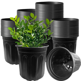 Whkvnng 60-pack nursery pot top view, ideal for seedling propagation.
