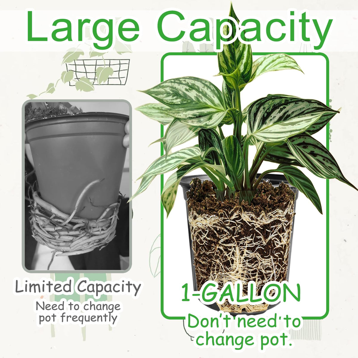 Whkvnng seedling pot with drainage holes promotes easy transplanting.